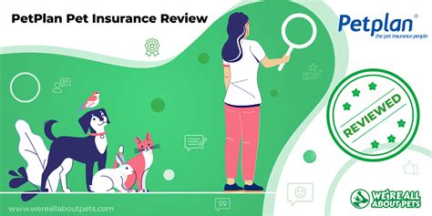 lv pet insurance v petplan.